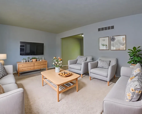 Georgetown Apartments and Townhomes Living Room Detail